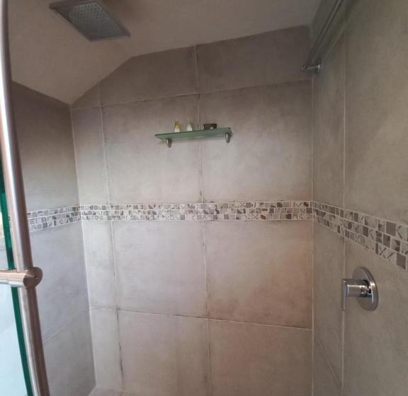 Люкс с Террасой, Junvay