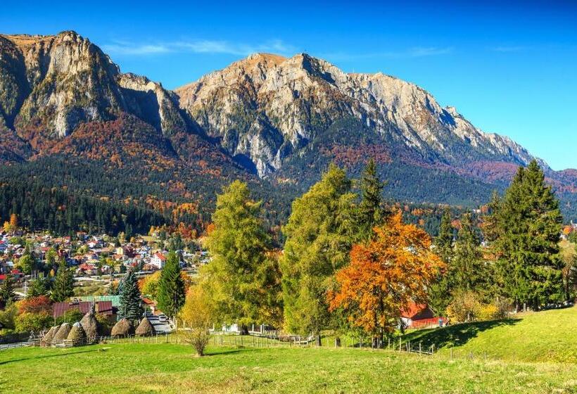 اتاق استاندارد با چشمانداز کوهستان, Suru Hotel & Restaurant