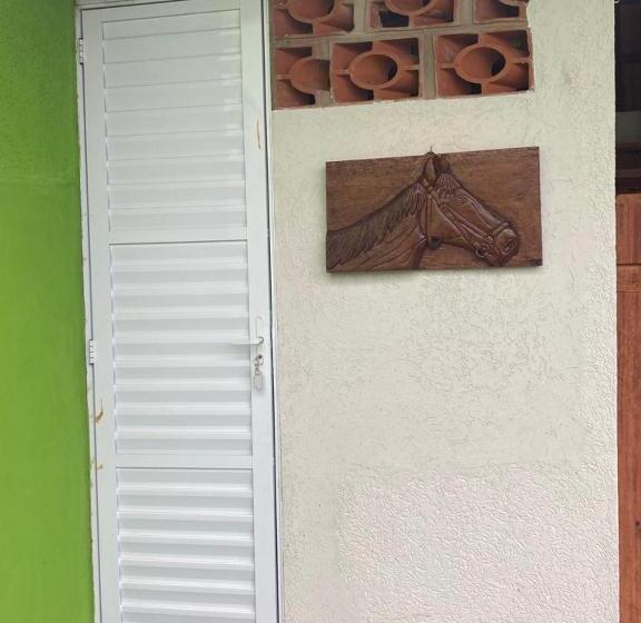 高级园景房, Hostel Raizer