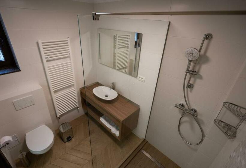 스탠다드 룸, Pensiunea White Residence