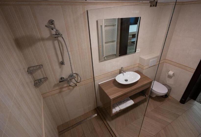 스탠다드 룸, Pensiunea White Residence