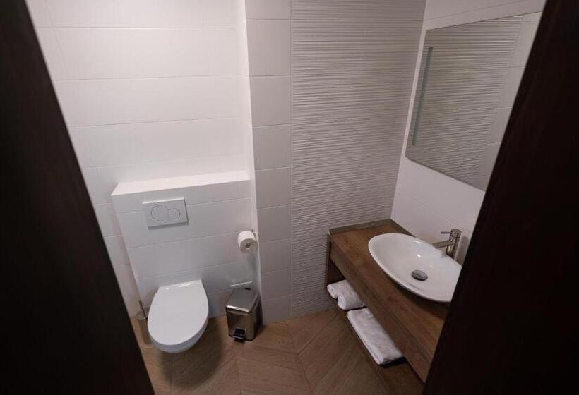 스탠다드 룸, Pensiunea White Residence