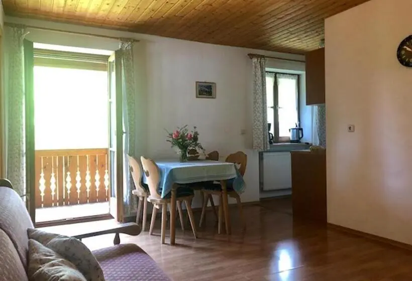1 Schlafzimmer Apartment mit Balkon, Mayerbauer