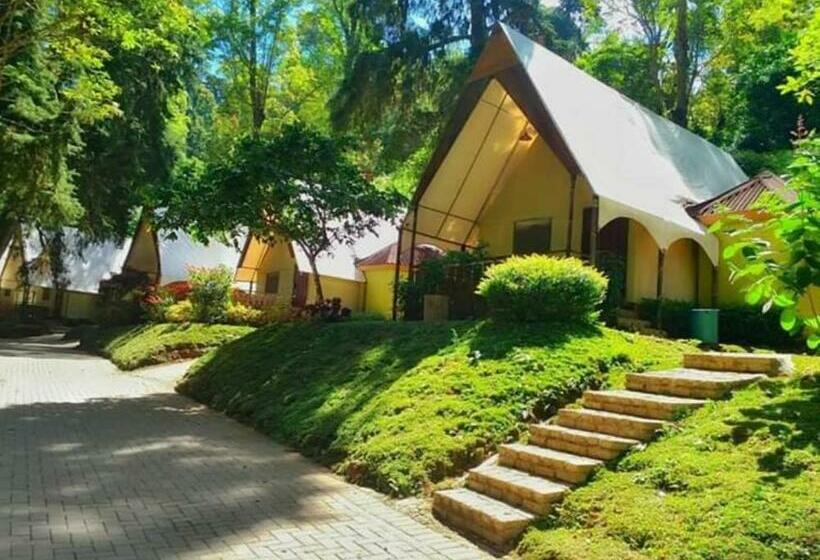 Номер Стандарт, Lawu Forest Camp