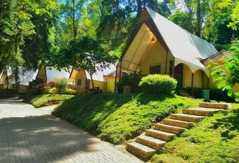 スタンダードルーム, Lawu Forest Camp
