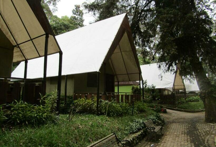 Номер Стандарт, Lawu Forest Camp