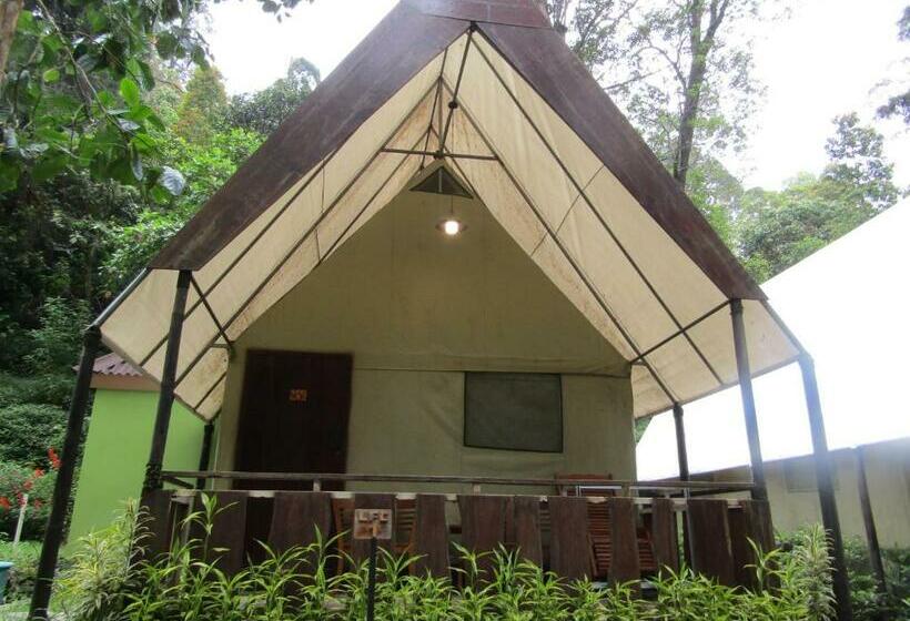 Номер Стандарт, Lawu Forest Camp