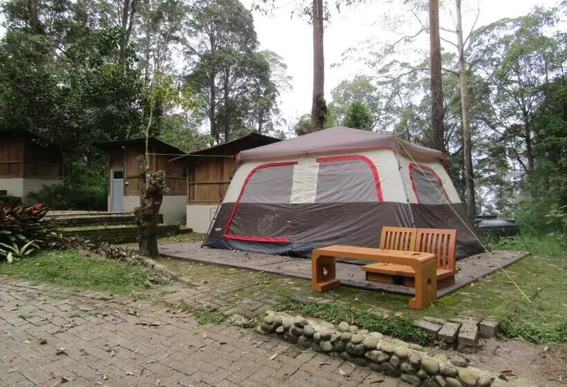 スタンダードトリプルルーム, Lawu Forest Camp