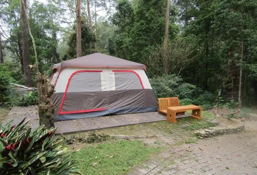 スタンダードトリプルルーム, Lawu Forest Camp