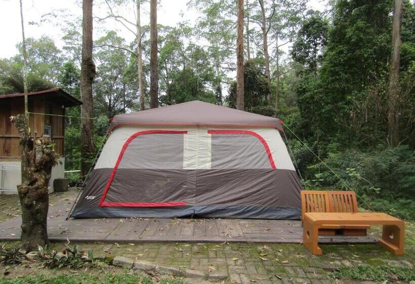 Номер Стандарт Трехместный, Lawu Forest Camp