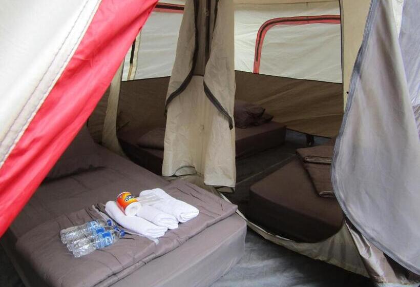 Номер Стандарт Трехместный, Lawu Forest Camp