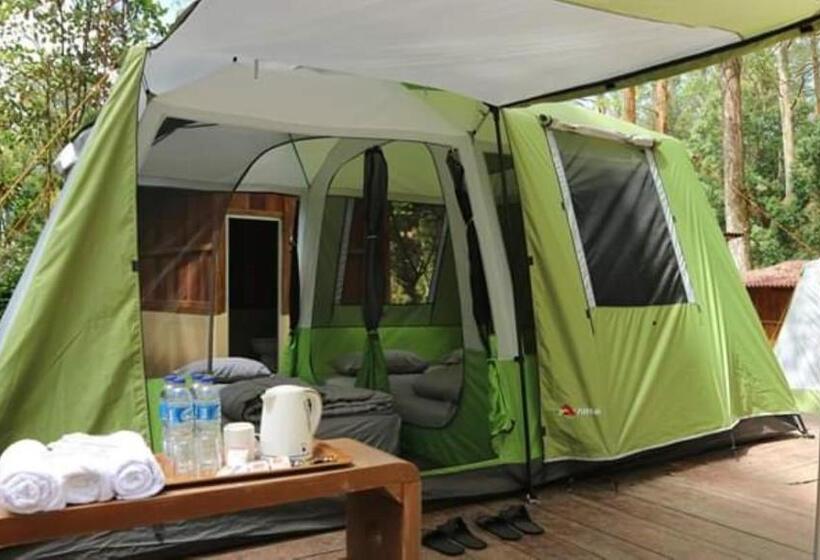 Номер Стандарт Трехместный, Lawu Forest Camp