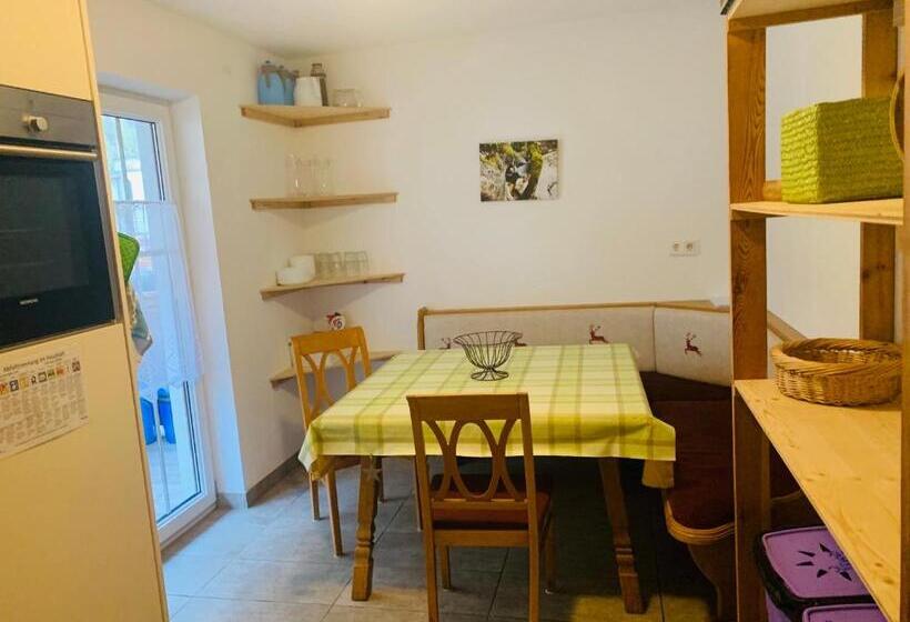 Номер Стандарт Четырехместный Совместный Санузел, Fankhauser Outdoorsport