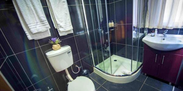 标准间, Wild Fig Accommodation