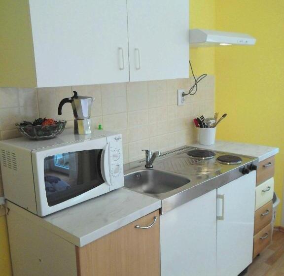 スタンダードスタジオ, Apartment Biro Kestenovi