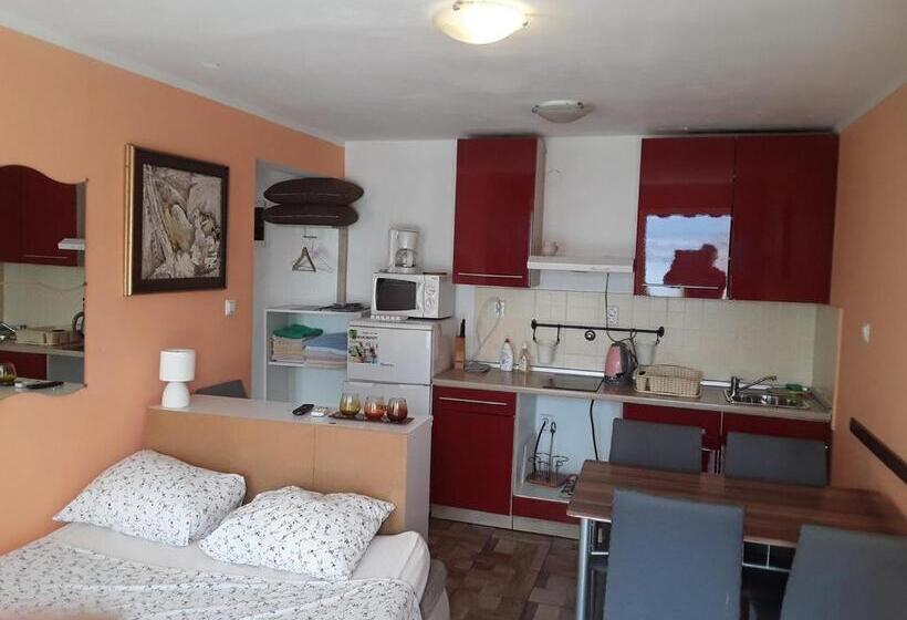 آپارتمان 1 خوابه همکف, Apartment Biro Kestenovi