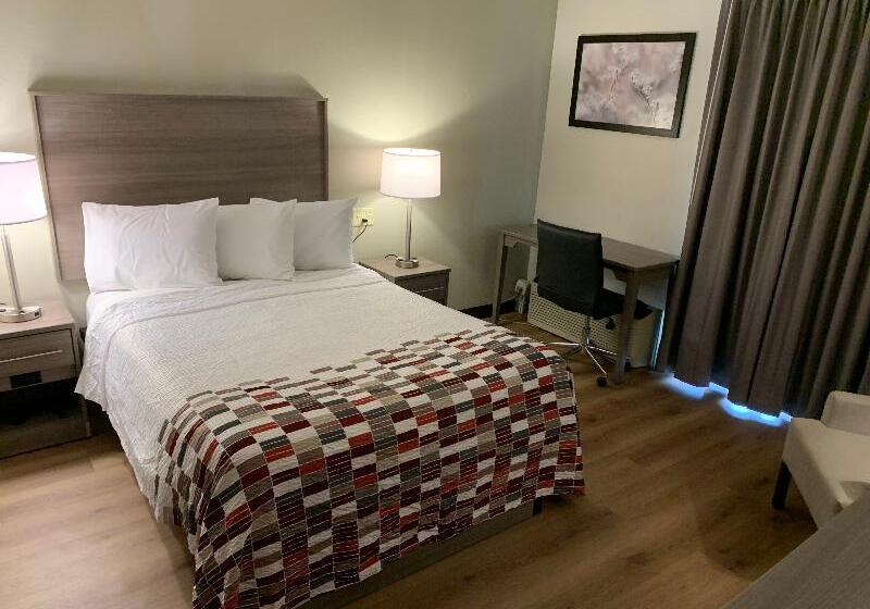 דירת שני חדרים, Lady Bay Resort