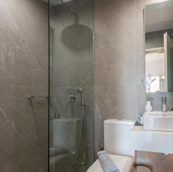 带园景的单人房, Dedalos