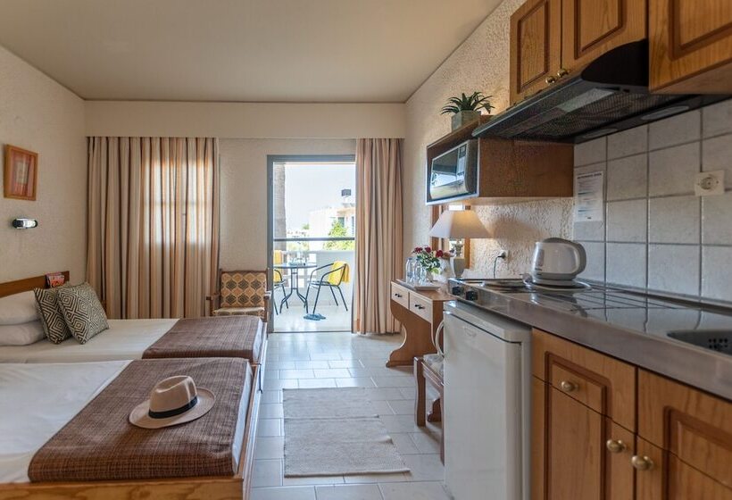 스탠다드 스튜디오 정원 전망, Dedalos