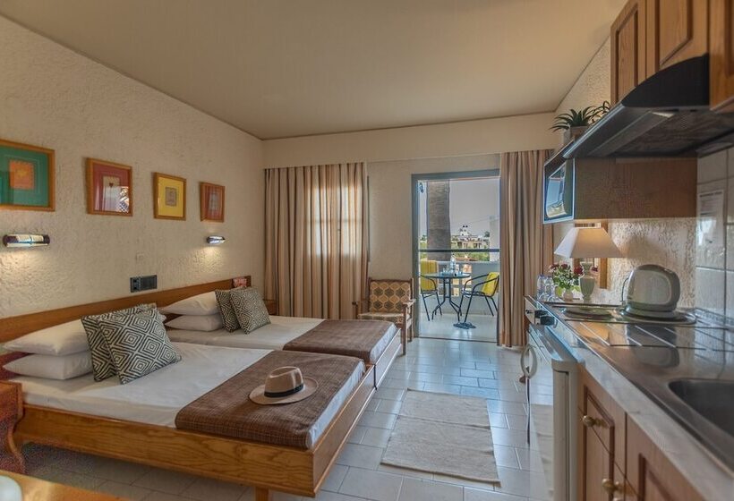 带花园景观的标准工作室, Dedalos