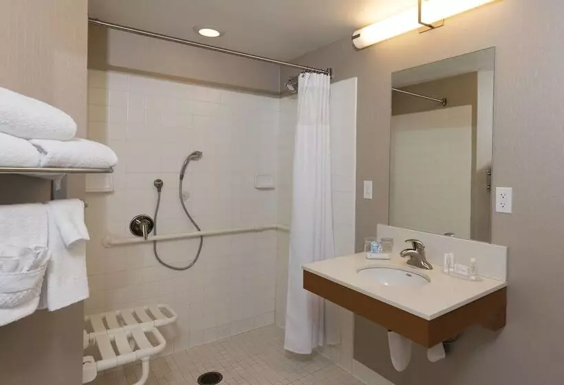 スタンダードスタジオ, Springhill Suites Detroit Auburn Hills