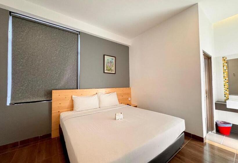 スタンダードルーム, Sunflower House