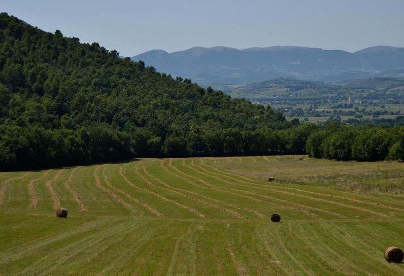 스탠다드 룸 킹사이즈 침대, La Tana Del Riccio