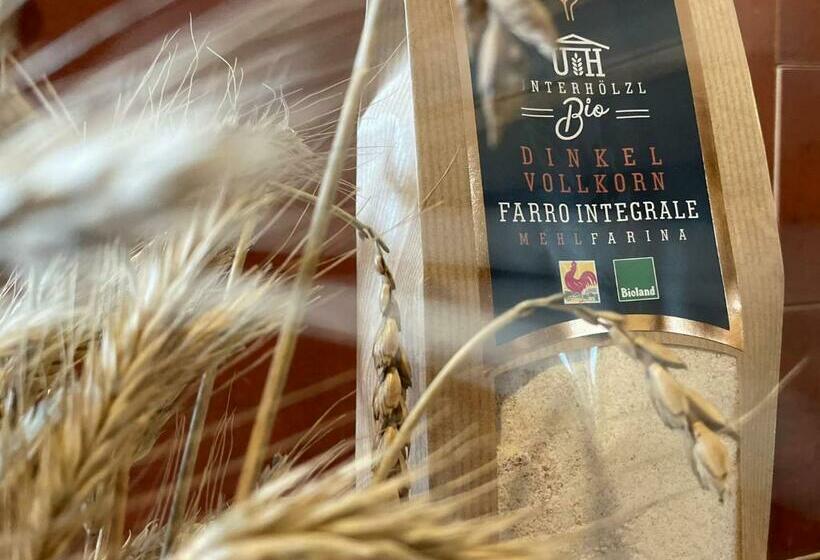 Апартаменты 1 Спальня, App Unterhoelzlhof Chalet Anima