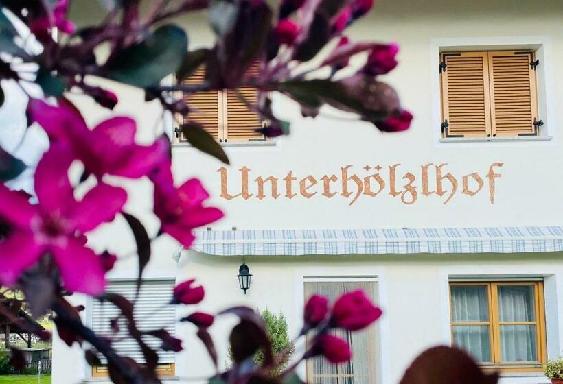 Апартаменты 1 Спальня, App Unterhoelzlhof Chalet Anima