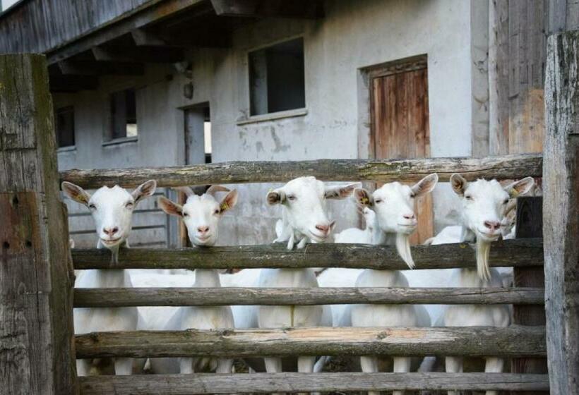 Апартаменты 1 Спальня, App Unterhoelzlhof Chalet Anima