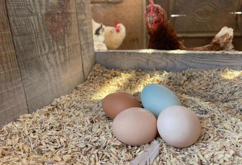 Шале 1 Спальня, App Unterhoelzlhof Chalet Anima