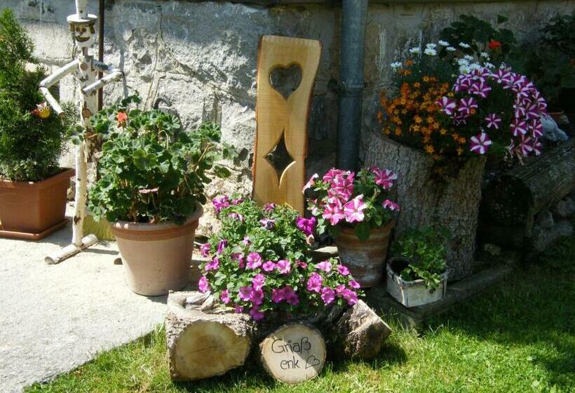 شقة غرفة واحدة ذات إطلالة, Hintereggerhof