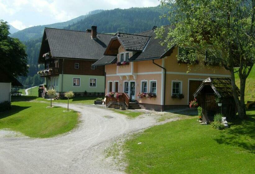 شقة غرفة واحدة ذات إطلالة, Hintereggerhof