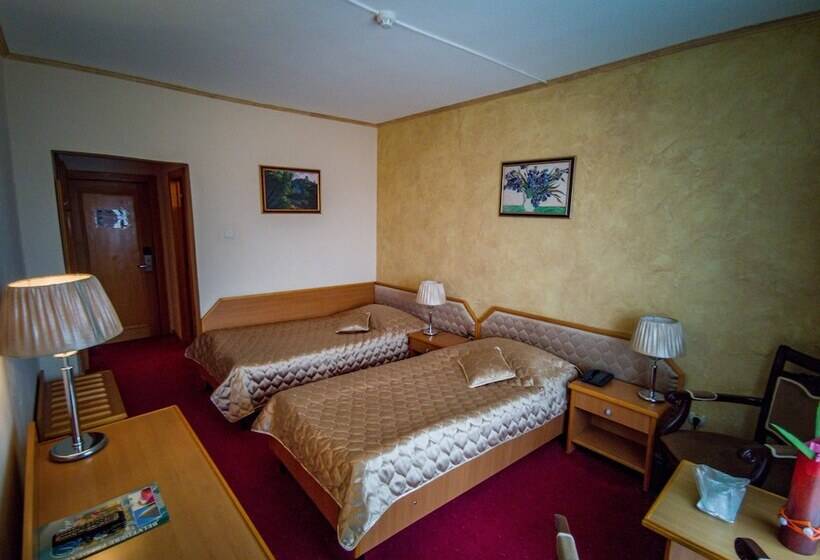 スタンダードルーム, Belvedere