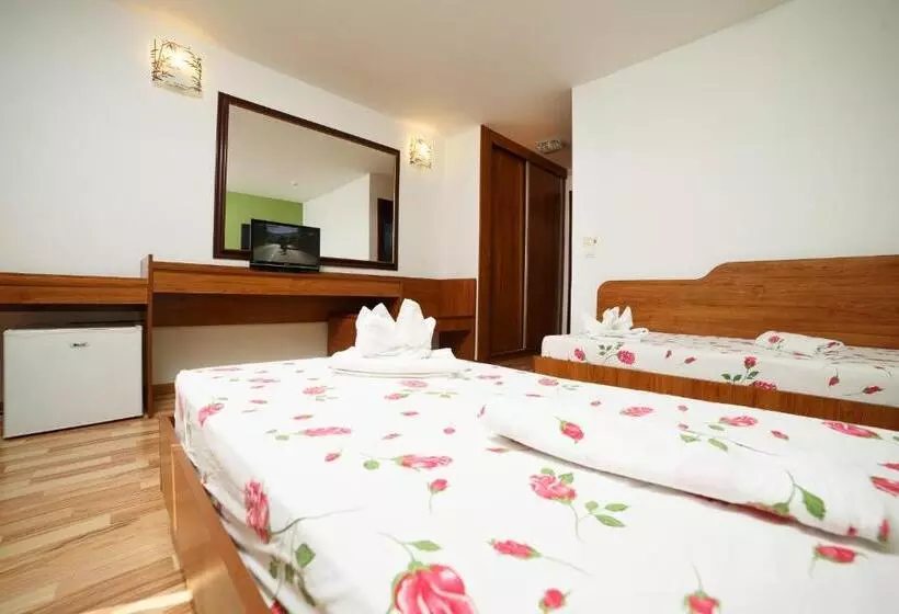Standard Room, Insula
