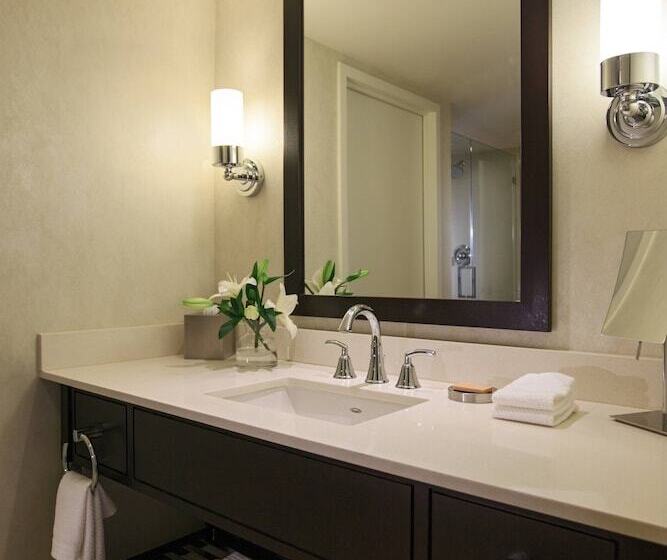 스탠다드 룸 더블 침대 2개, Renaissance Arlington Capital View