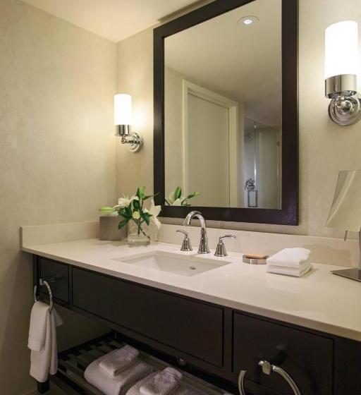 스위트, Renaissance Arlington Capital View