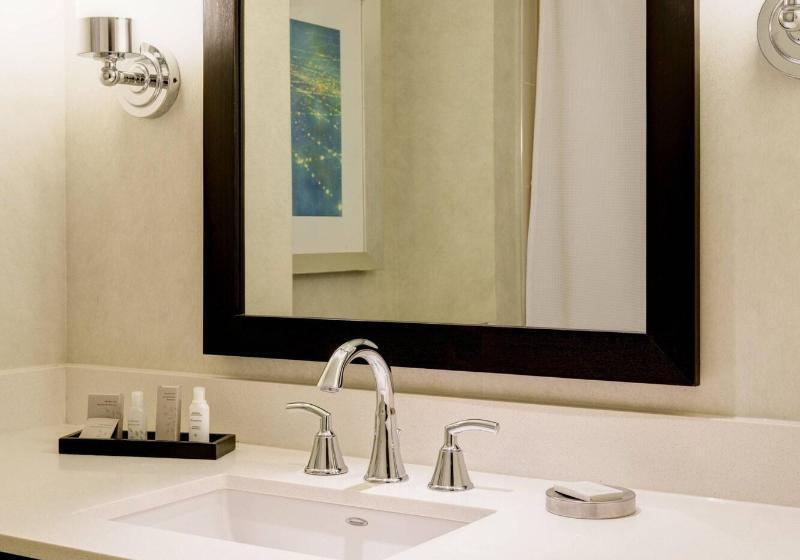 클럽 룸, Renaissance Arlington Capital View