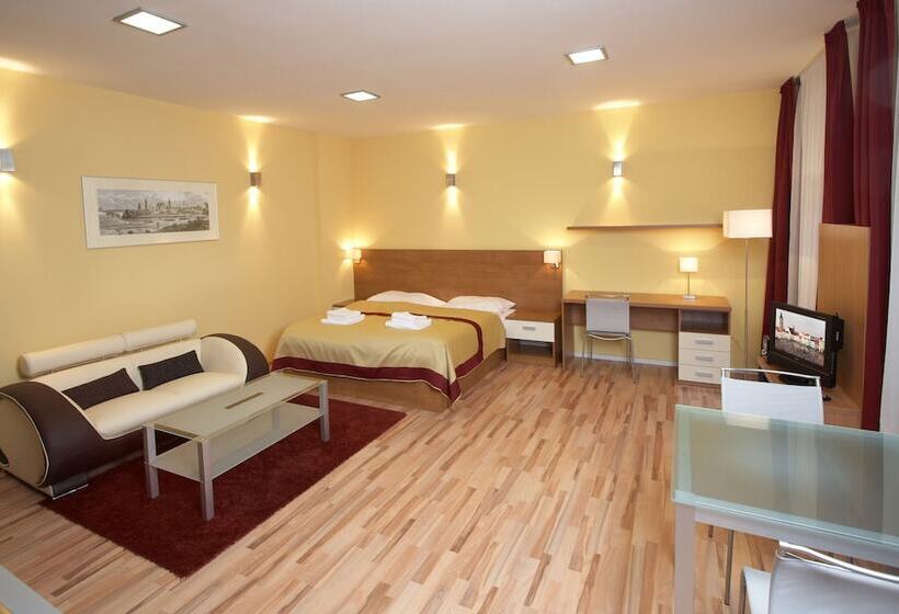 חדר סטודיו סטנדרד, Residence U černé Věže české Budějovice