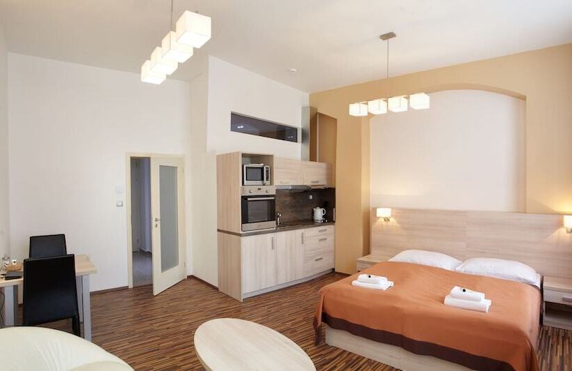 חדר סטודיו סטנדרד, Residence U černé Věže české Budějovice