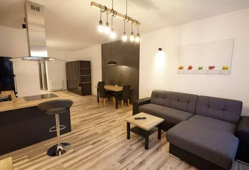 １ベッドルームアパートメント, Residence U černé Věže české Budějovice