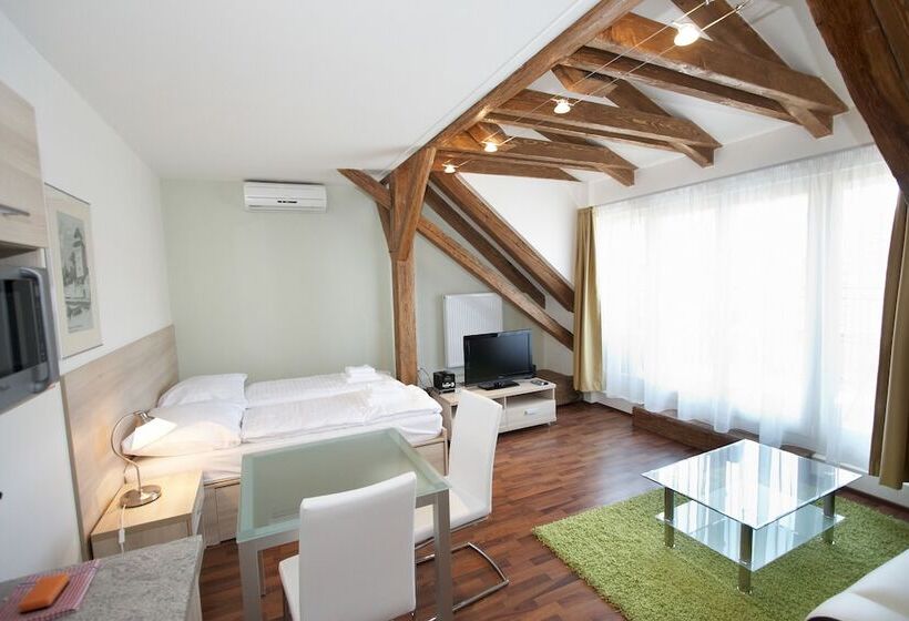 １ベッドルームアパートメント, Residence U černé Věže české Budějovice