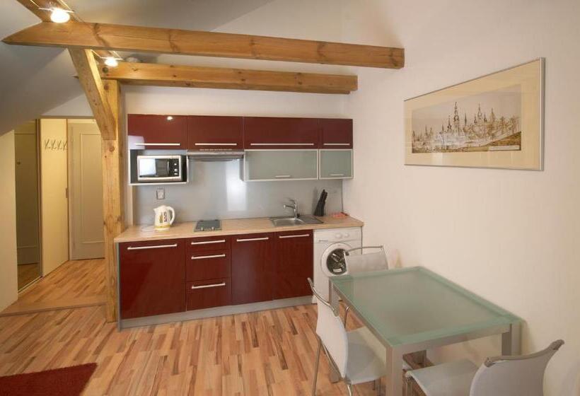 带1个卧室的公寓, Residence U černé Věže české Budějovice