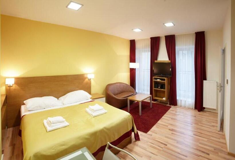 חדר סטודיו סטנדרד, Residence U černé Věže české Budějovice