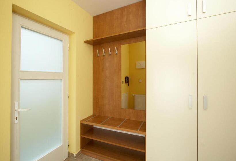 חדר סטודיו סטנדרד, Residence U černé Věže české Budějovice