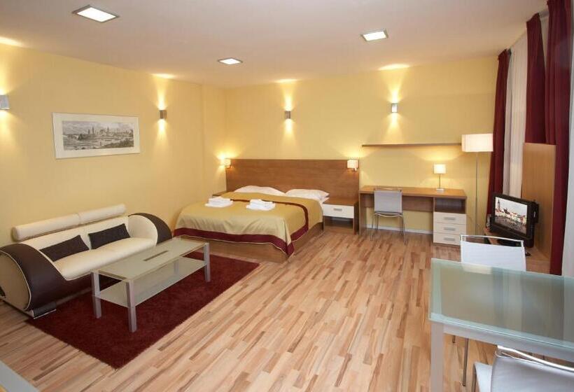 חדר סטודיו סטנדרד, Residence U černé Věže české Budějovice