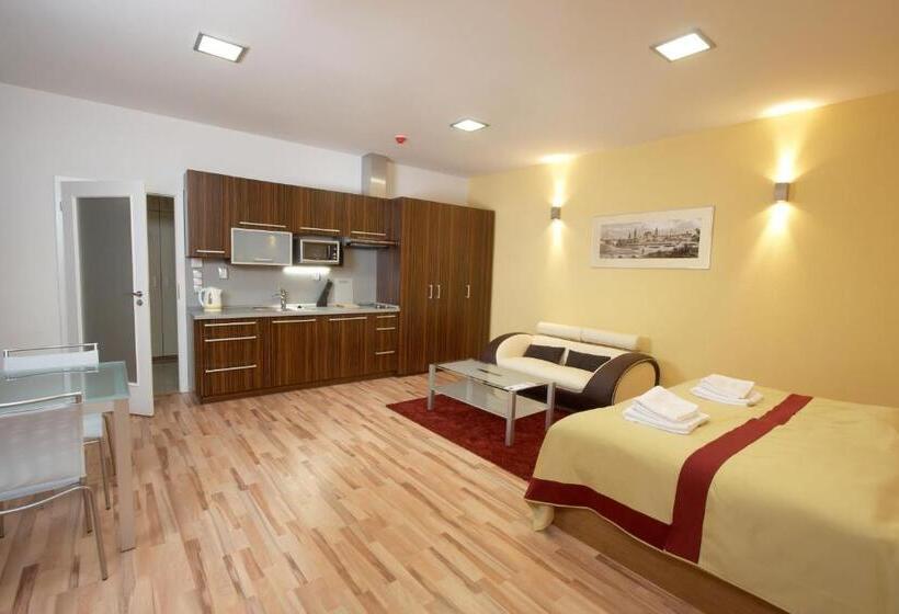 חדר סטודיו סטנדרד, Residence U černé Věže české Budějovice