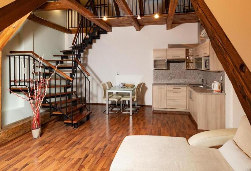 ２ベッドルームアパートメント, Residence U černé Věže české Budějovice