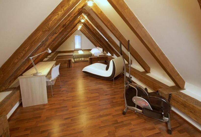 דירת משפחה, Residence U černé Věže české Budějovice