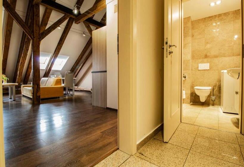 דירת חדר עם טרסה, Residence U černé Věže české Budějovice